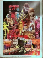 Electric Fetus History Poster